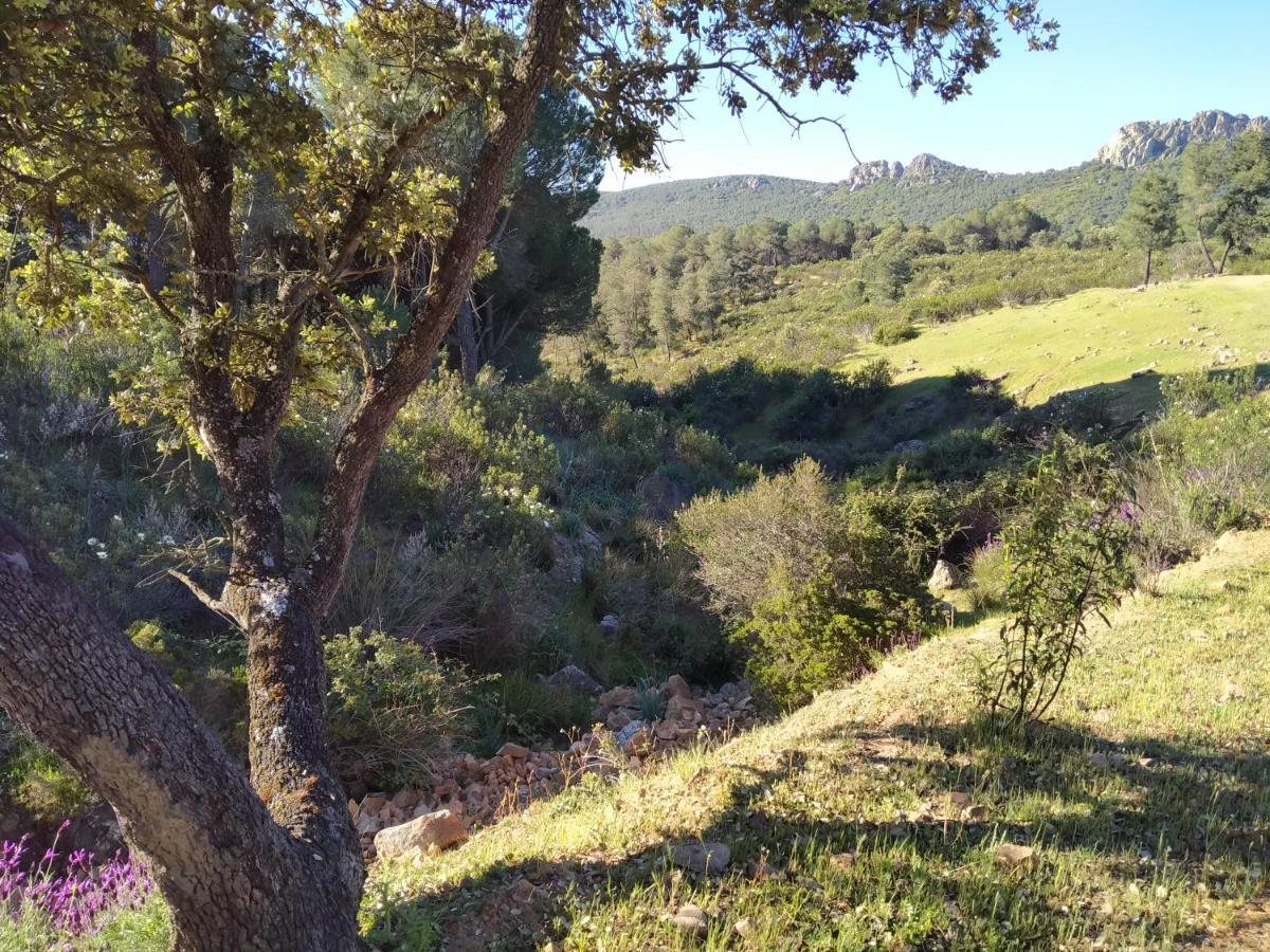 La Romera Villanueva del Duque Kültér fotó